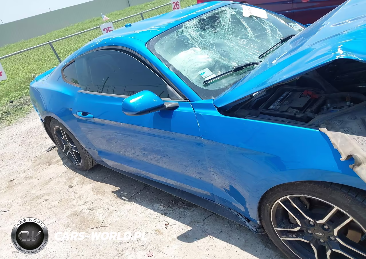 2019 Ford Mustang Ecoboost-Ecoboost Premium VIN:1FA6P8TH5K5147738 - 13
