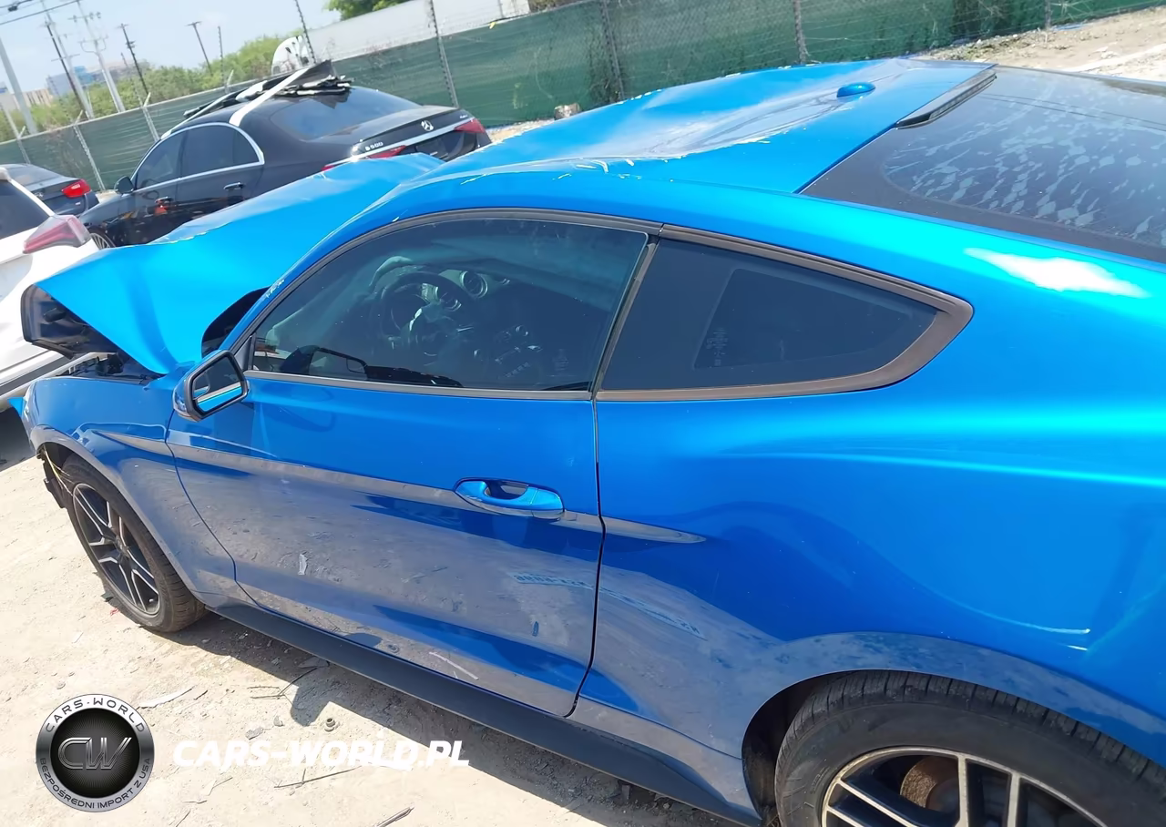 2019 Ford Mustang Ecoboost-Ecoboost Premium VIN:1FA6P8TH5K5147738 - 14