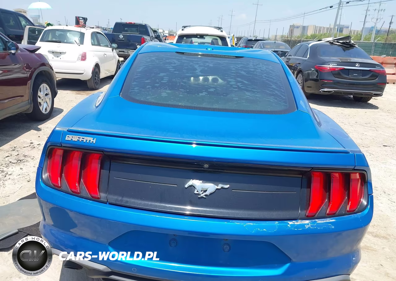 2019 Ford Mustang Ecoboost-Ecoboost Premium VIN:1FA6P8TH5K5147738 - 16