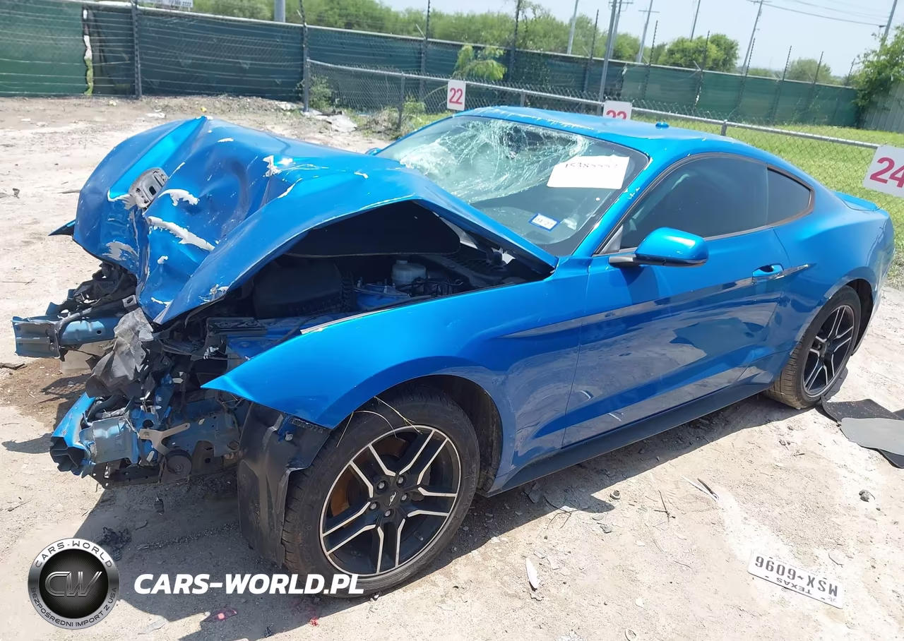 2019 Ford Mustang Ecoboost-Ecoboost Premium VIN:1FA6P8TH5K5147738 - 2