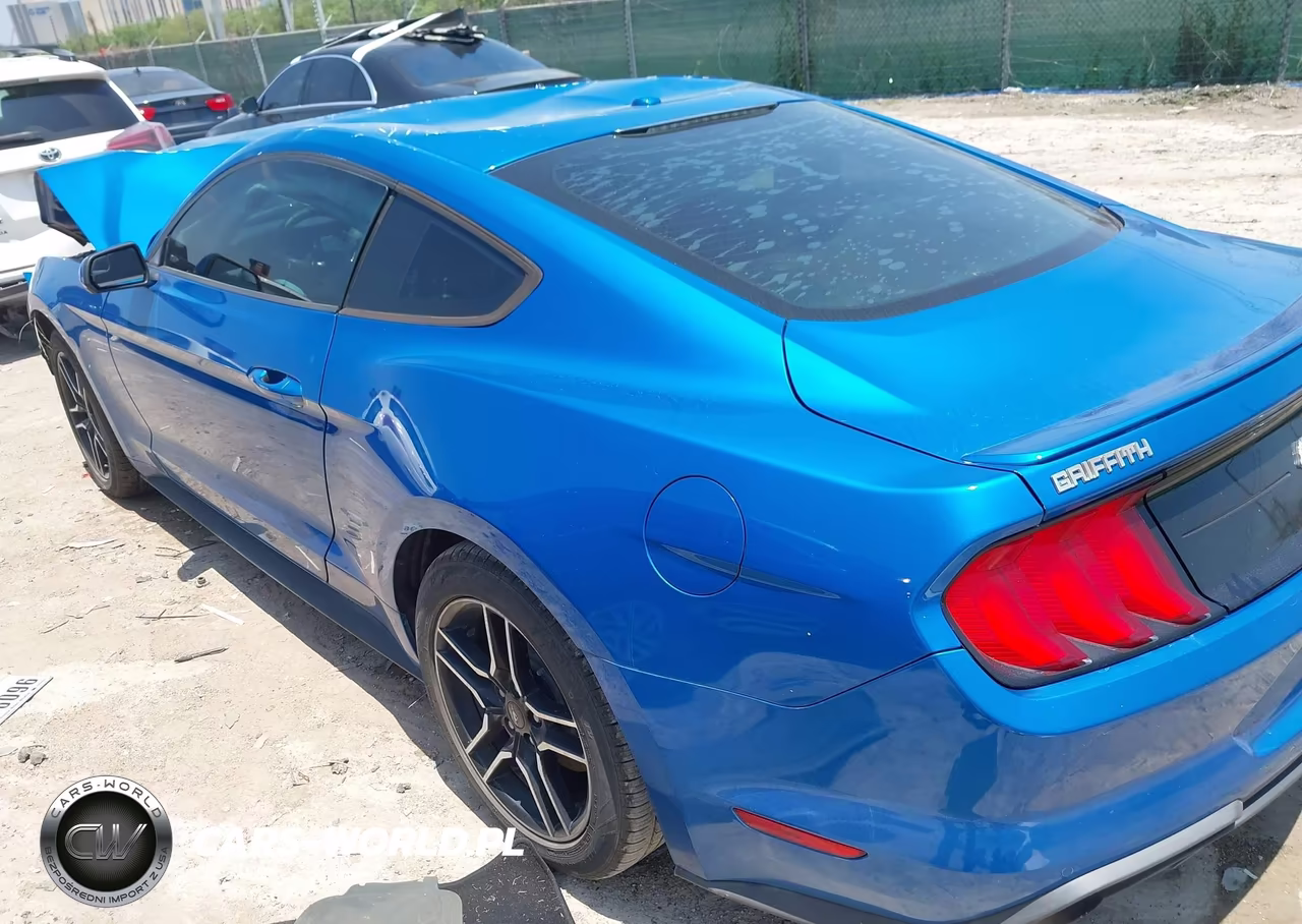 2019 Ford Mustang Ecoboost-Ecoboost Premium VIN:1FA6P8TH5K5147738 - 3