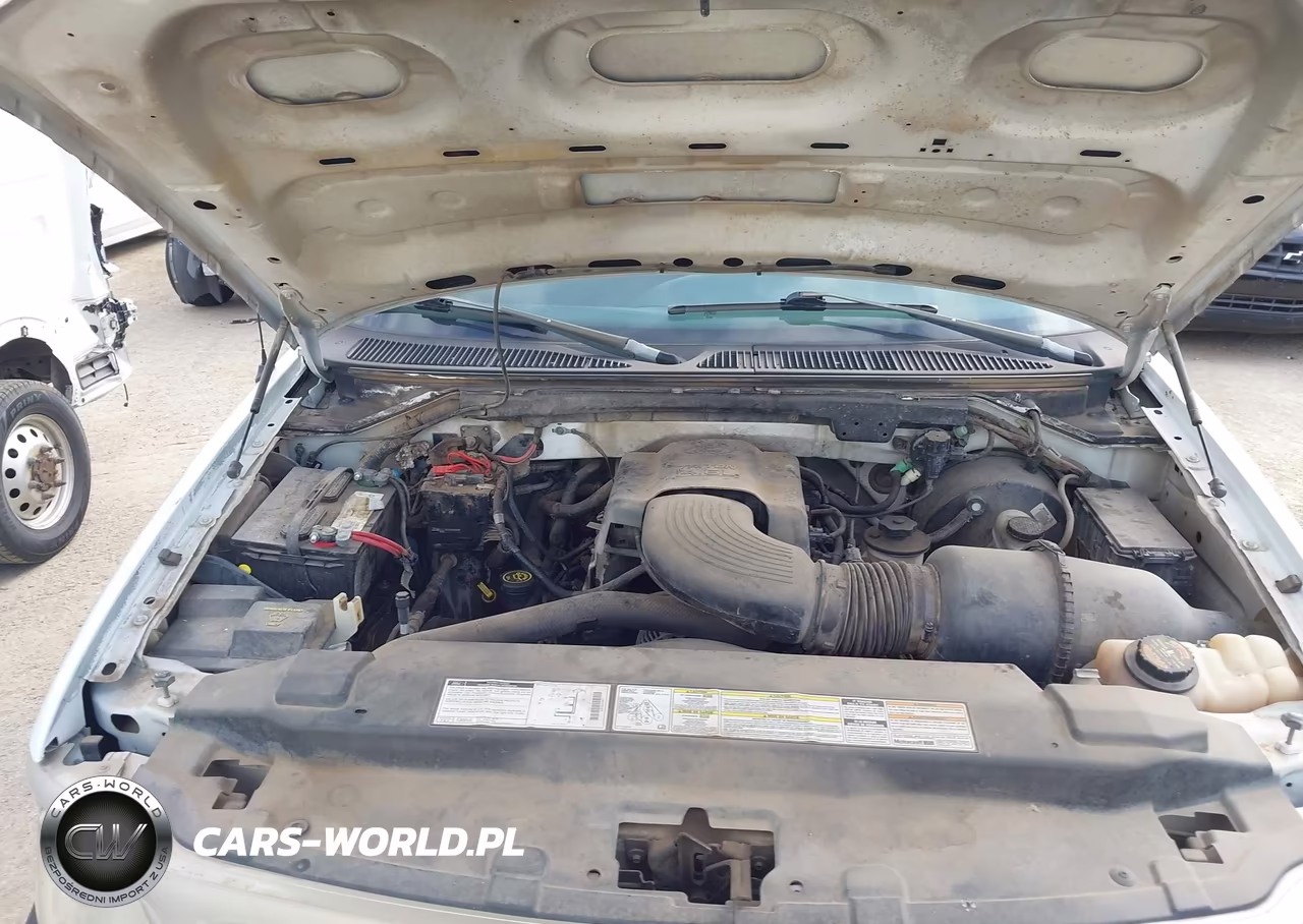 1999 Ford F-150 Lariat-Work Series-Xl-Xlt VIN:1FTRF17W4XKB11462 - 10