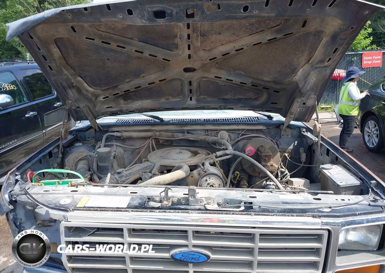 1986 Ford F250 VIN:1FTEF25H1GKB40717 - 10