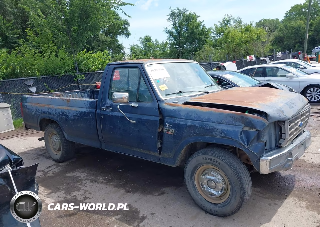 1986 Ford F250 VIN:1FTEF25H1GKB40717 - 13