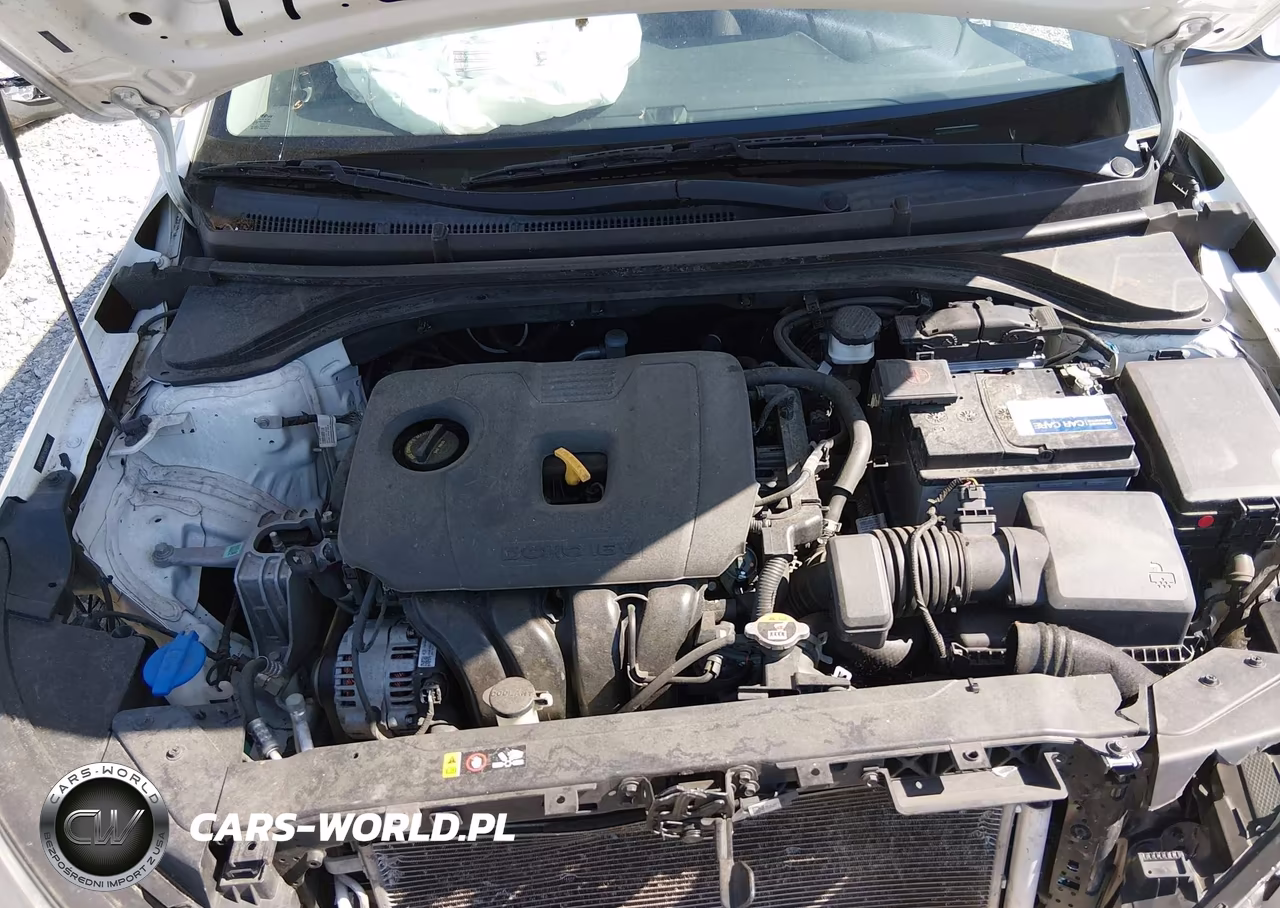 2020 Hyundai Elantra Se VIN:5NPD74LF9LH498243 - 10