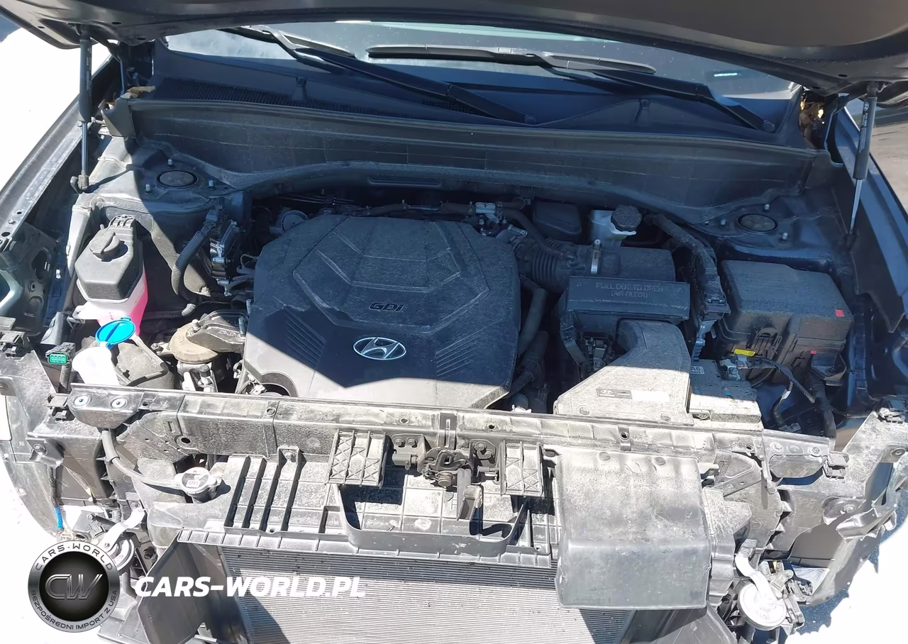 2024 Hyundai Palisade Calligraphy VIN:KM8R7DGE5RU732265 - 10