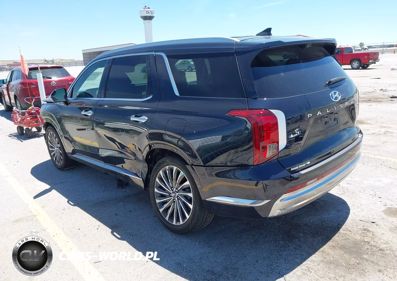 2024 Hyundai Palisade Calligraphy VIN:KM8R7DGE5RU732265 - 3