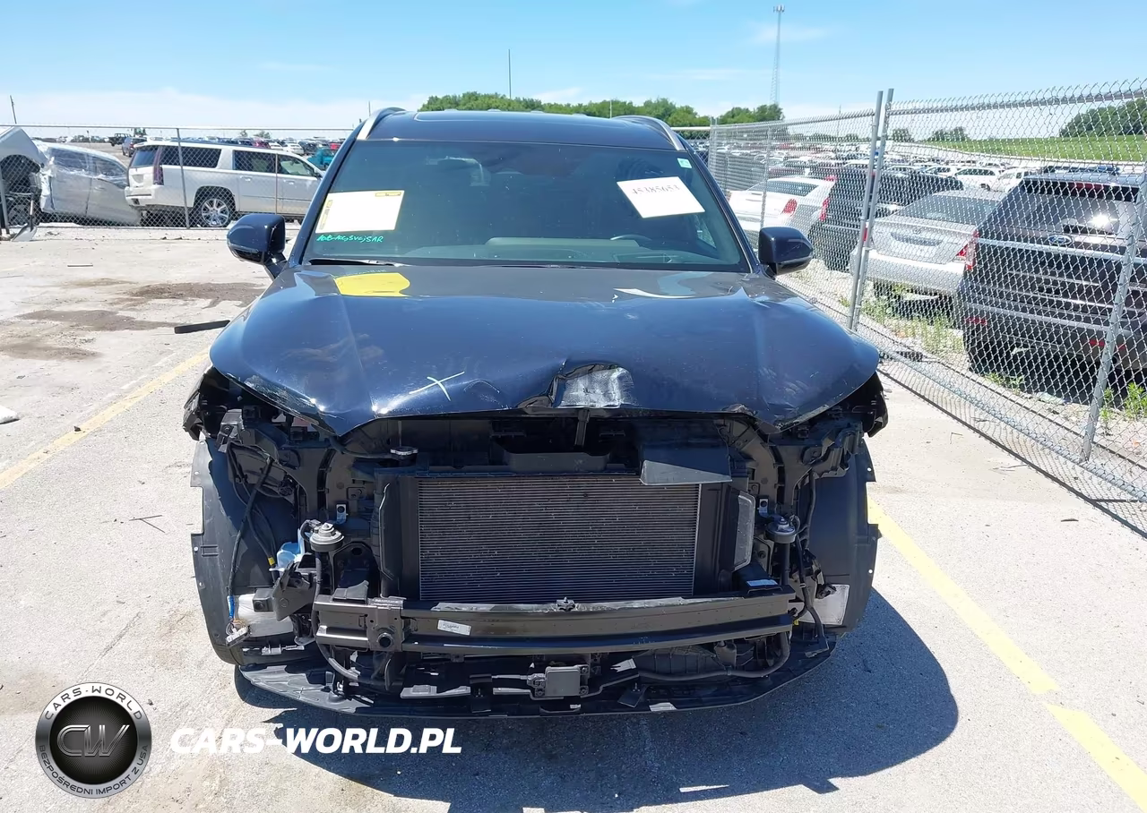 2024 Hyundai Palisade Calligraphy VIN:KM8R7DGE5RU732265 - 6