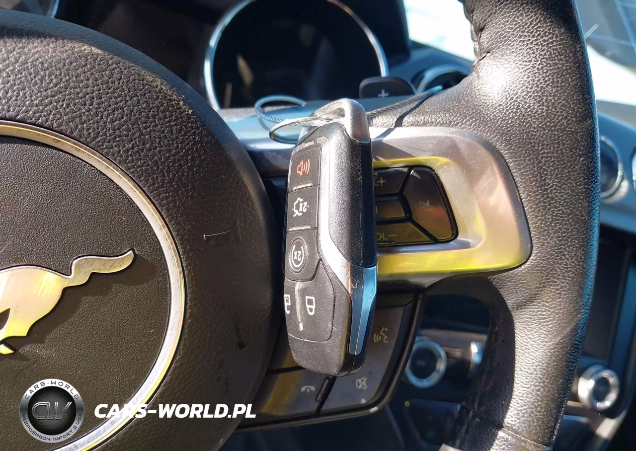 2017 Ford Mustang Ecoboost VIN:1FA6P8TH9H5301652 - 11