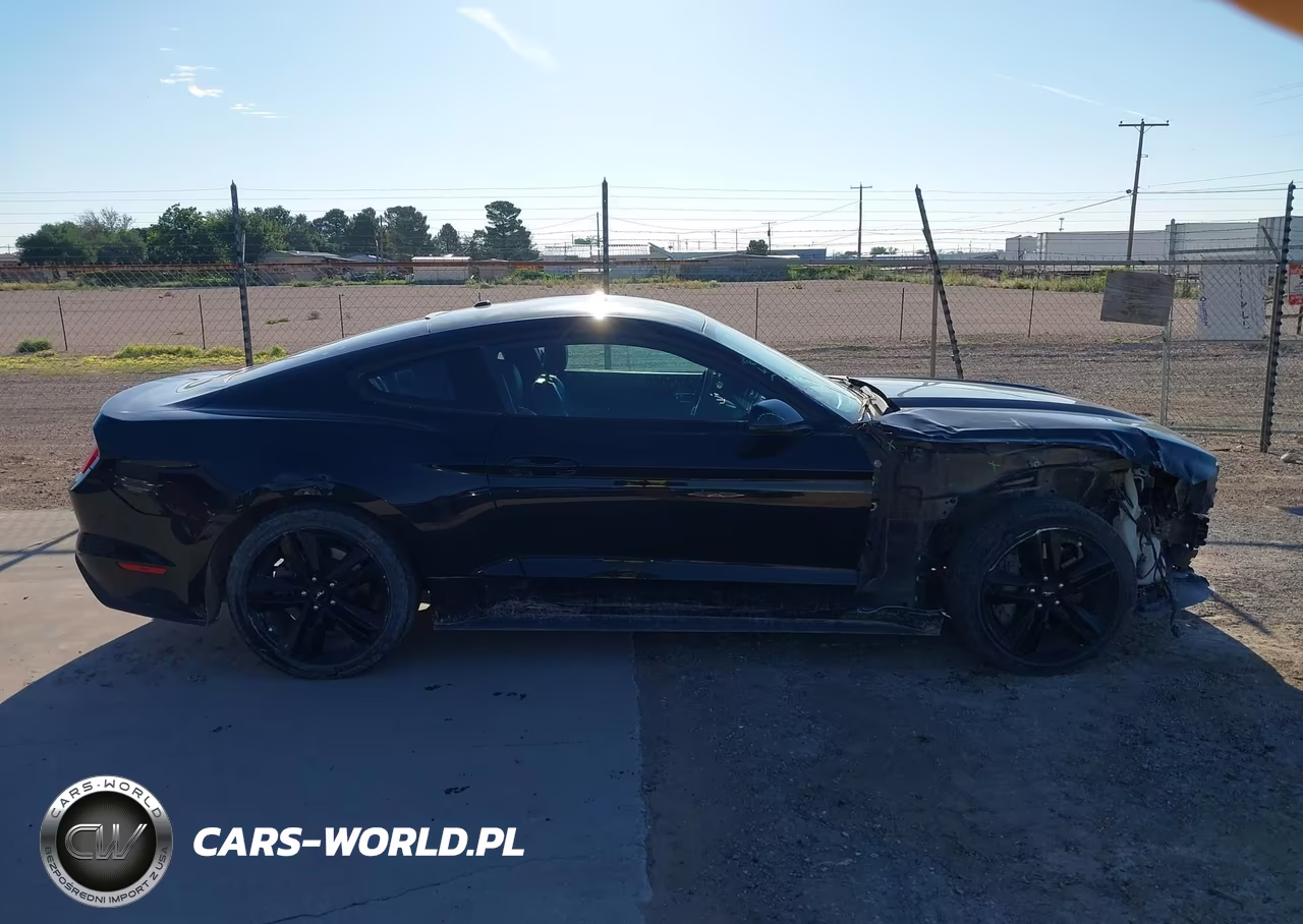 2017 Ford Mustang Ecoboost VIN:1FA6P8TH9H5301652 - 13