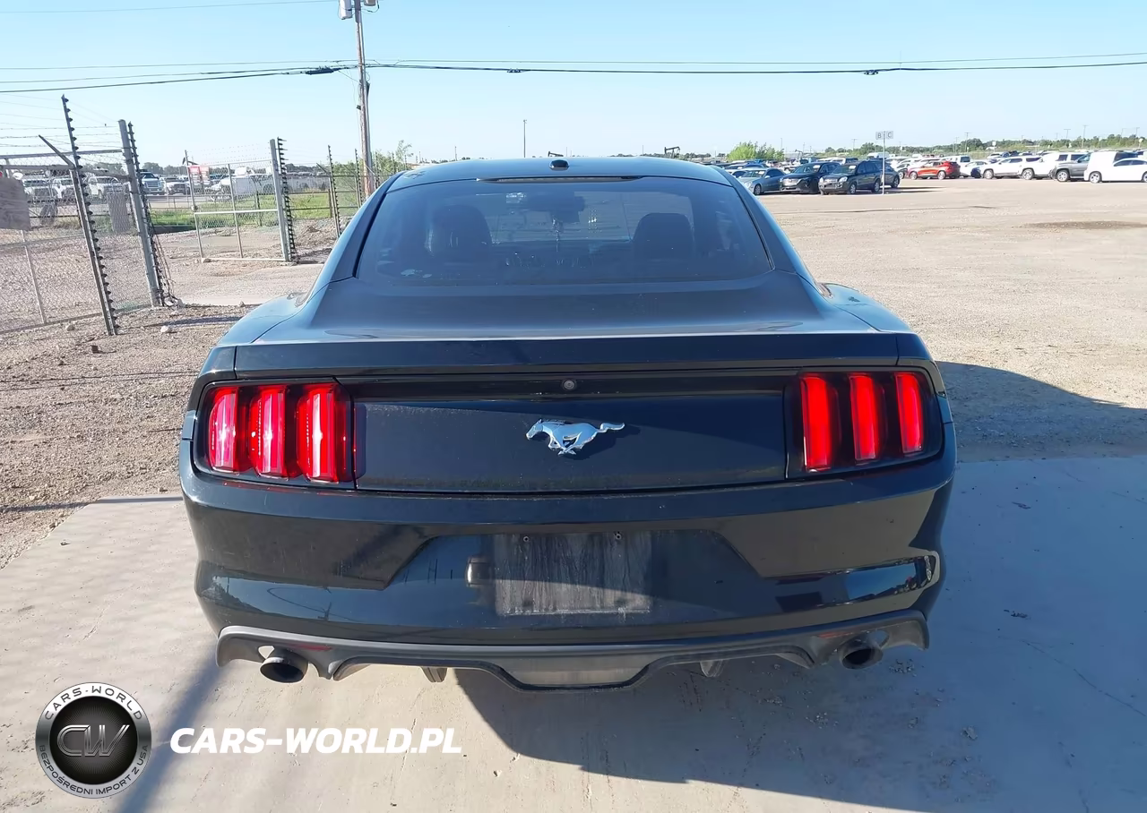 2017 Ford Mustang Ecoboost VIN:1FA6P8TH9H5301652 - 16