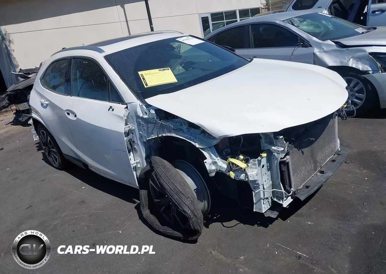 2019 Lexus Ux 200