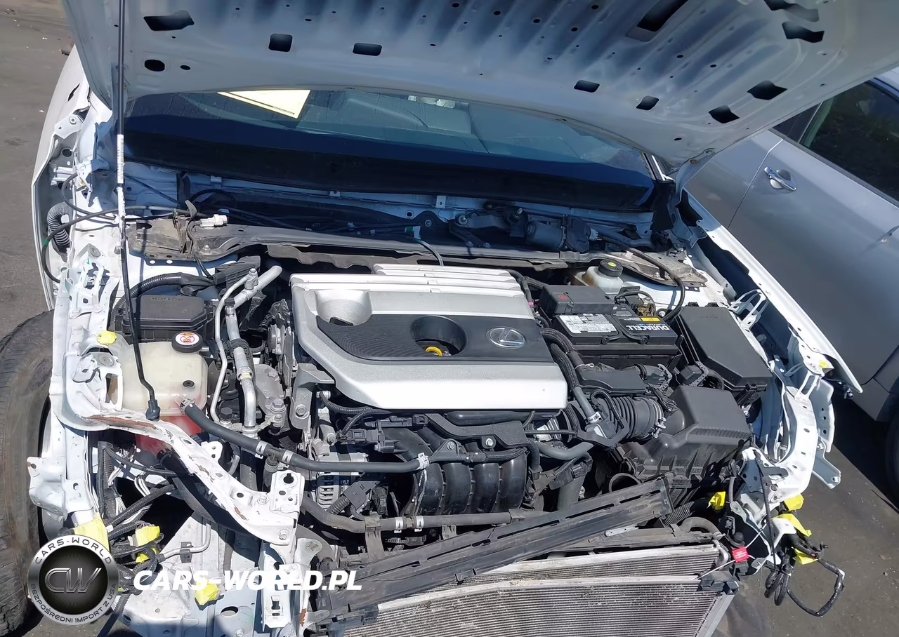 2019 Lexus Ux 200 VIN:JTHY3JBH9K2018005 - 10