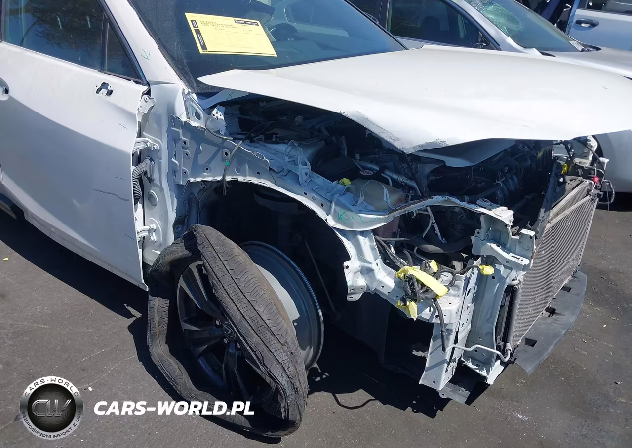 2019 Lexus Ux 200 VIN:JTHY3JBH9K2018005 - 18