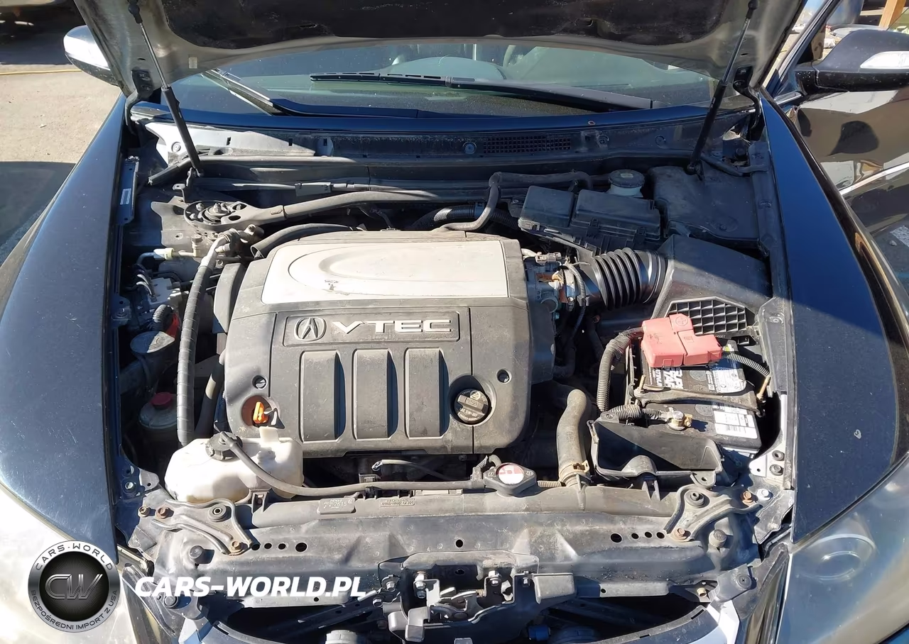 2008 Acura Rl 3.5 VIN:JH4KB16648C002413 - 10