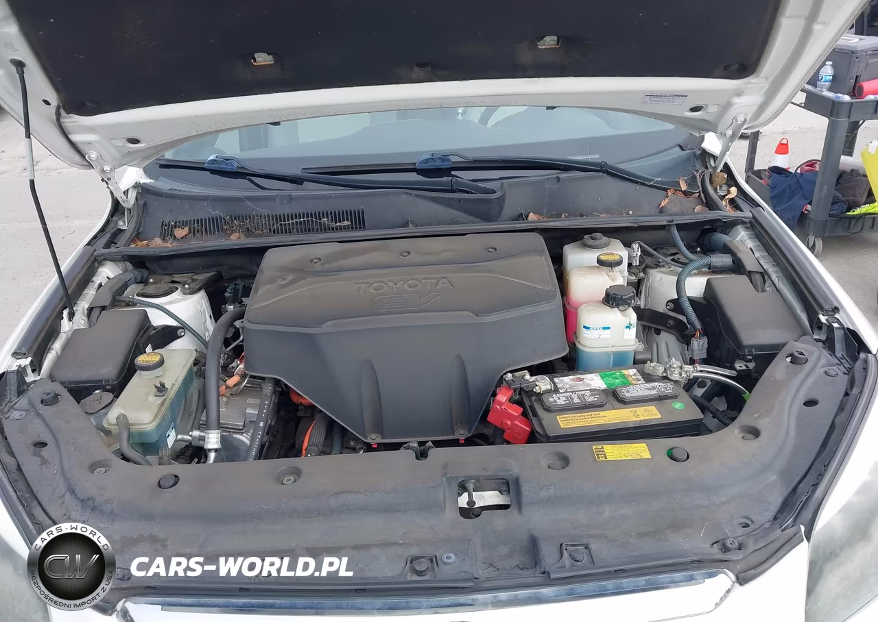 2013 Toyota Rav4 Ev VIN:2T3YL4DV1DW001604 - 10