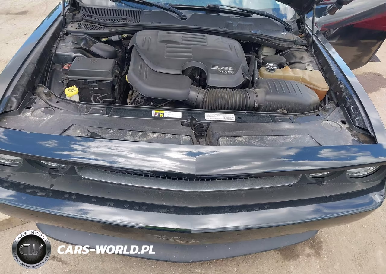 2014 Dodge Challenger Sxt Plus VIN:2C3CDYAG4EH225184 - 10