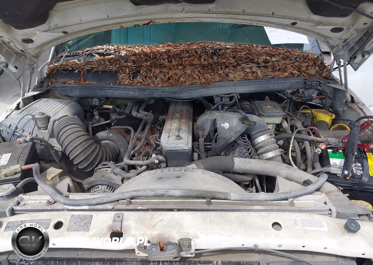 1997 Dodge Ram 2500 Chassis Lt VIN:1B6KC26D8VJ509765 - 10