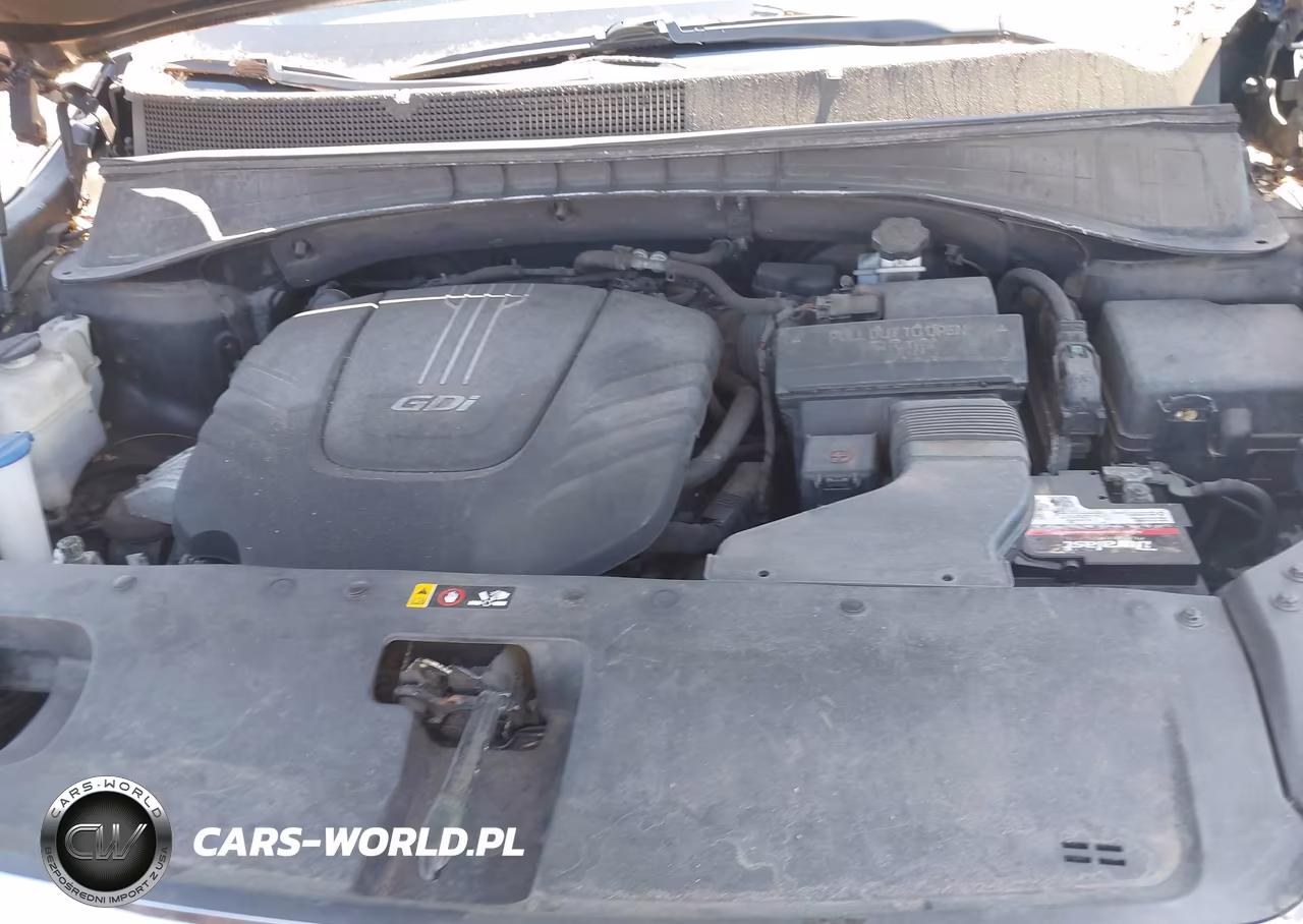 2017 Kia Sorento 3.3L Lx VIN:5XYPGDA56HG221930 - 10