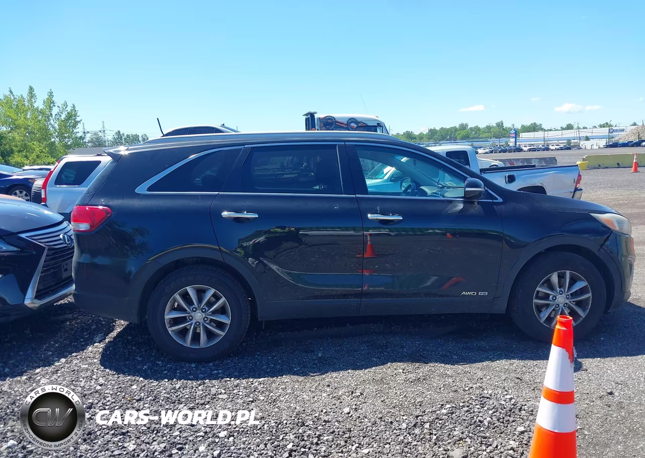2017 Kia Sorento 3.3L Lx VIN:5XYPGDA56HG221930 - 13