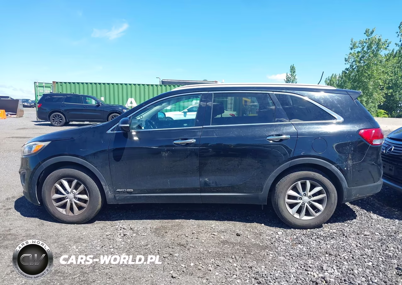 2017 Kia Sorento 3.3L Lx VIN:5XYPGDA56HG221930 - 14