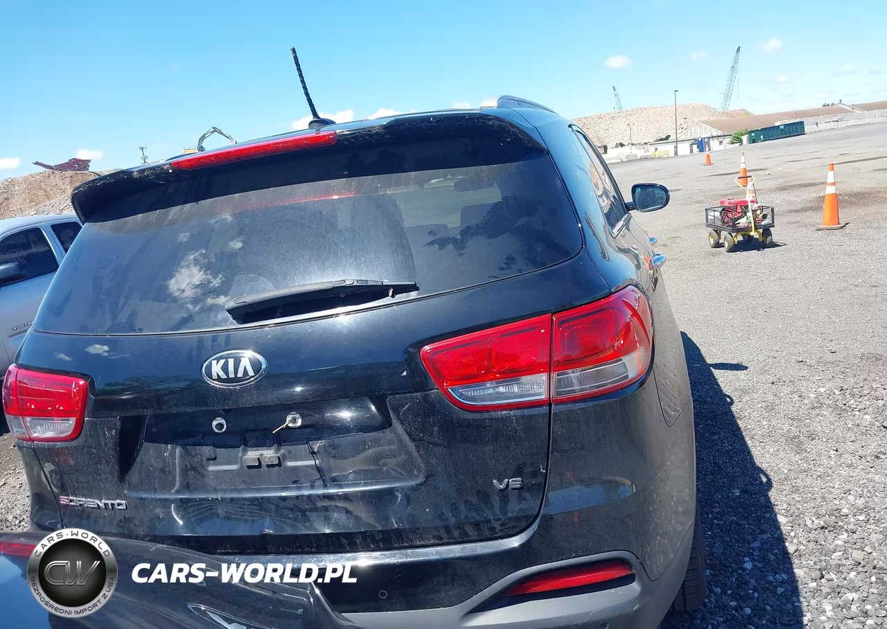 2017 Kia Sorento 3.3L Lx VIN:5XYPGDA56HG221930 - 16
