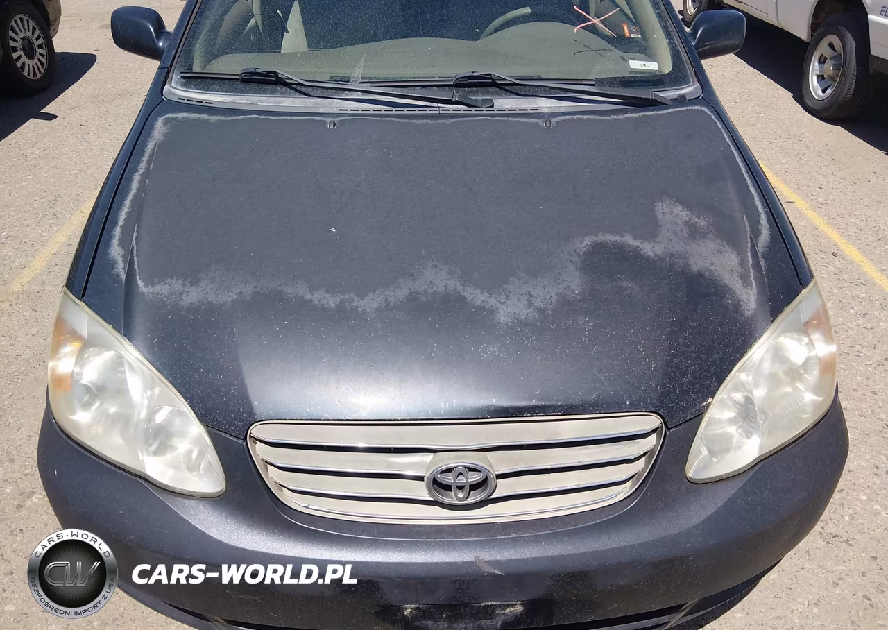 2004 Toyota Corolla Le VIN:JTDBR32E342030483 - 6