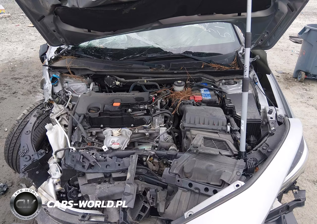 2024 Honda Civic Sport VIN:2HGFE2F59RH513784 - 10
