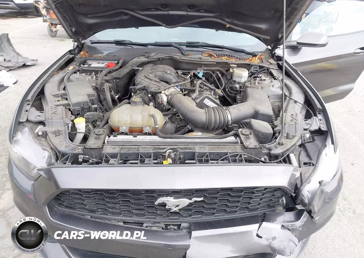 2017 Ford Mustang V6 VIN:1FA6P8AM7H5301214 - 10