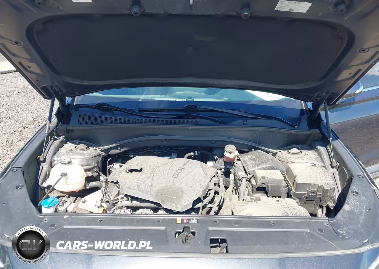 2023 Hyundai Santa Fe Sel VIN:5NMS2DAJ3PH641719 - 10