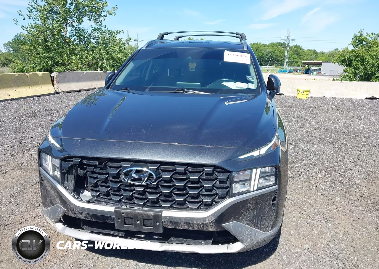 2023 Hyundai Santa Fe Sel VIN:5NMS2DAJ3PH641719 - 12