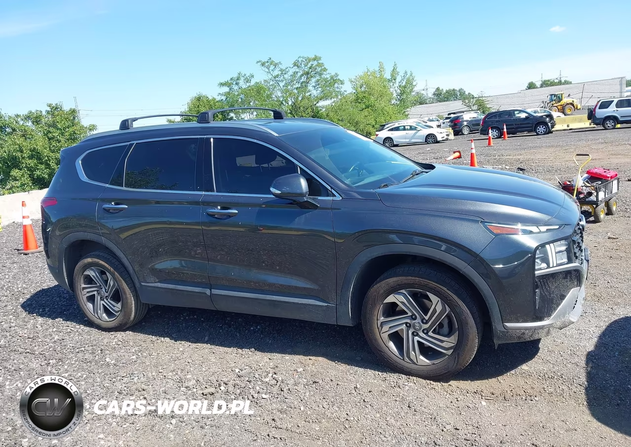 2023 Hyundai Santa Fe Sel VIN:5NMS2DAJ3PH641719 - 13