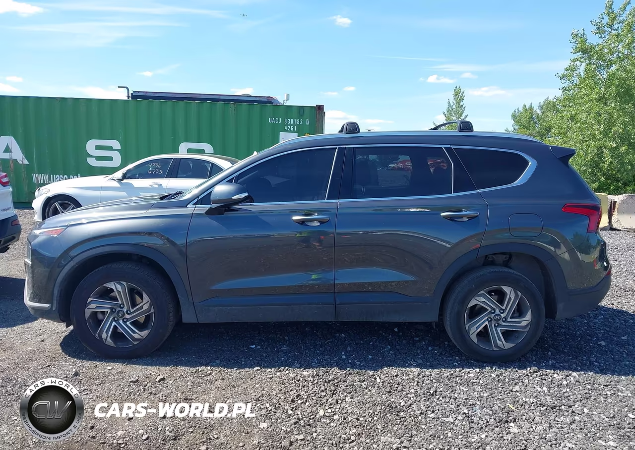 2023 Hyundai Santa Fe Sel VIN:5NMS2DAJ3PH641719 - 14