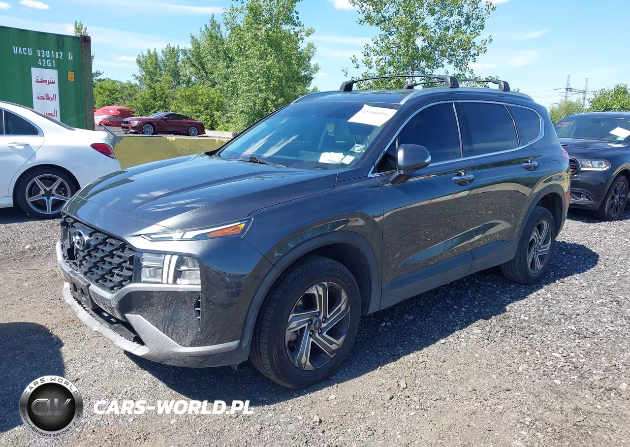 2023 Hyundai Santa Fe Sel VIN:5NMS2DAJ3PH641719 - 2
