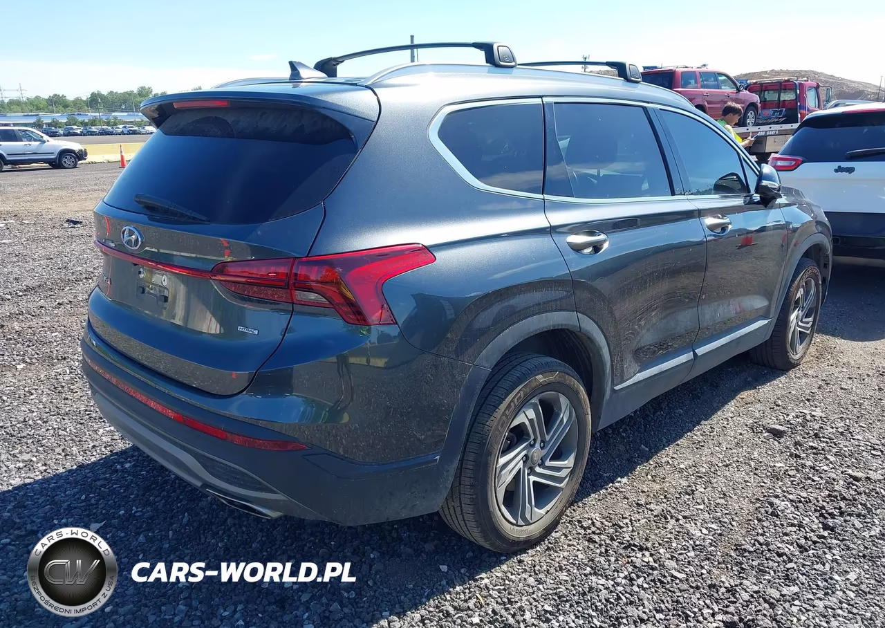 2023 Hyundai Santa Fe Sel VIN:5NMS2DAJ3PH641719 - 4