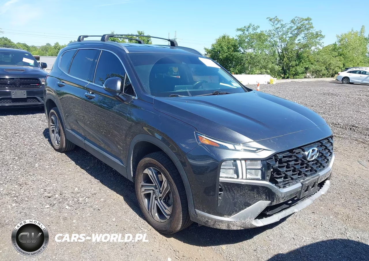 2023 Hyundai Santa Fe Sel VIN:5NMS2DAJ3PH641719 - 6