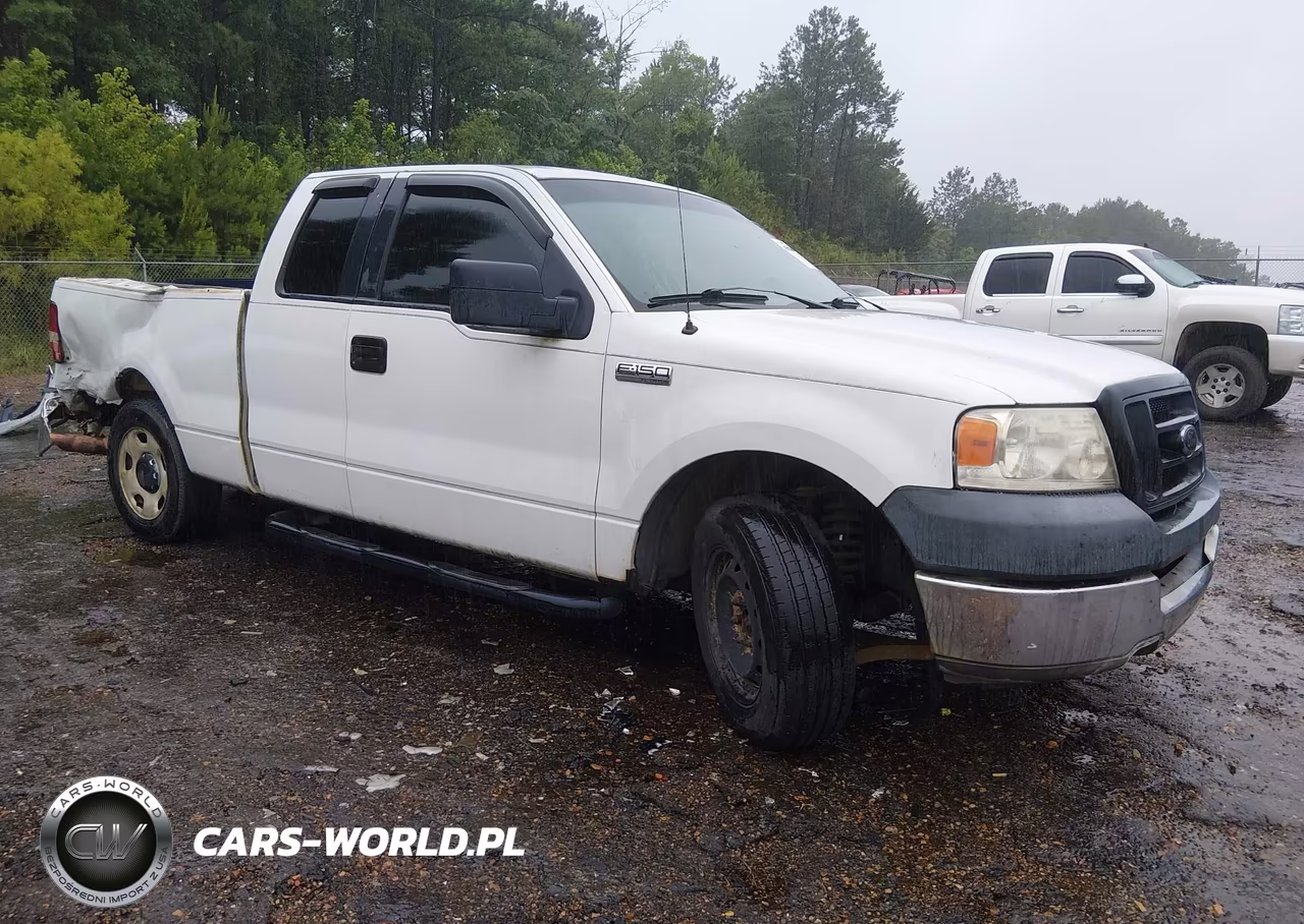 2005 Ford F-150 Stx-Xl-Xlt – zdjęcie 1 z 16