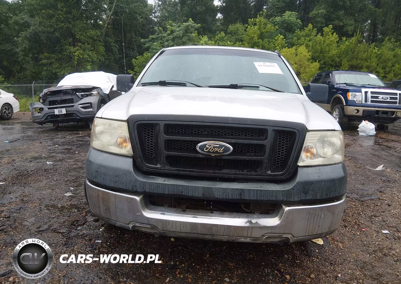 2005 Ford F-150 Stx-Xl-Xlt VIN:1FTRX12W75NA07595 - 12
