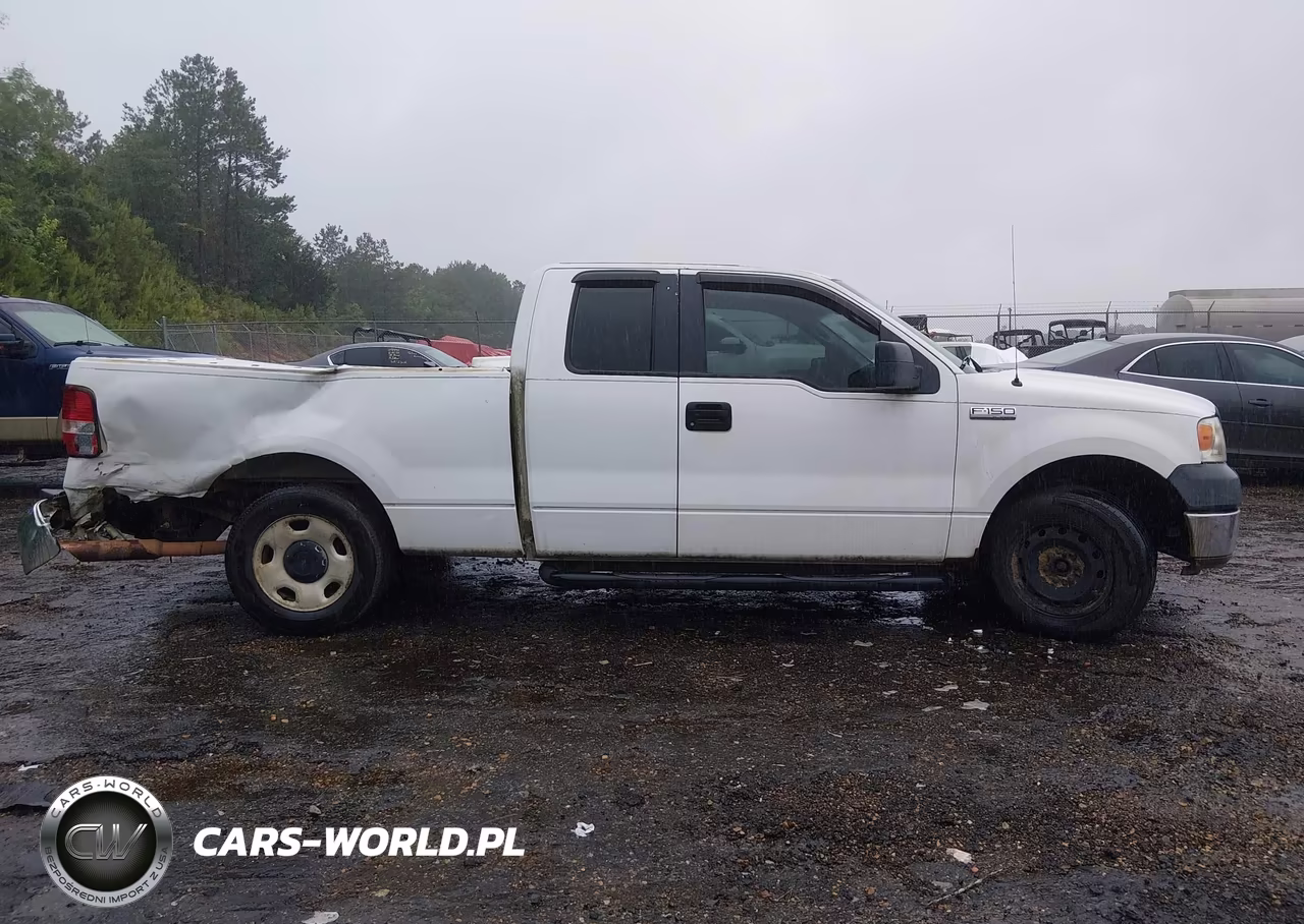 2005 Ford F-150 Stx-Xl-Xlt VIN:1FTRX12W75NA07595 - 13
