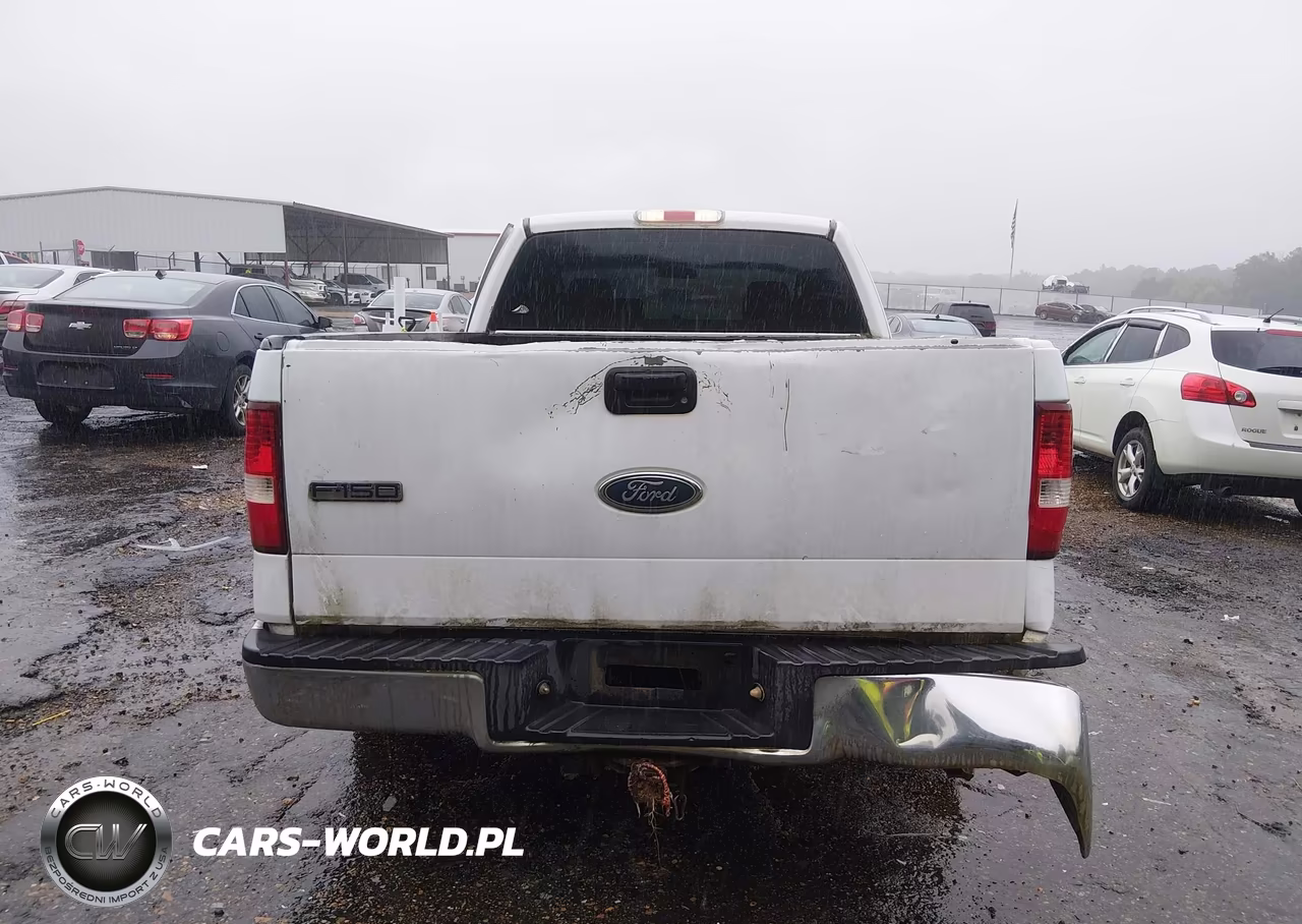 2005 Ford F-150 Stx-Xl-Xlt VIN:1FTRX12W75NA07595 - 16