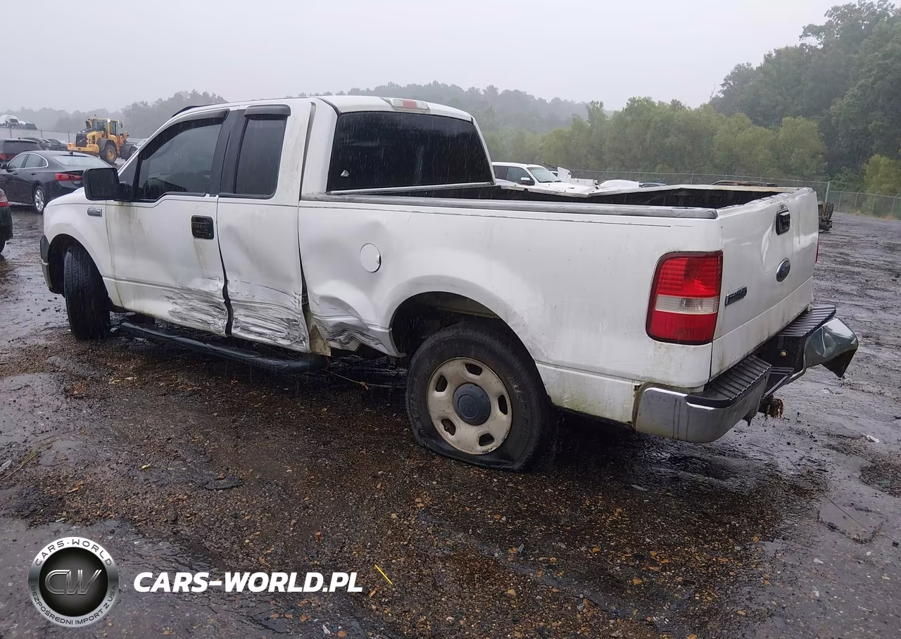 2005 Ford F-150 Stx-Xl-Xlt VIN:1FTRX12W75NA07595 - 3