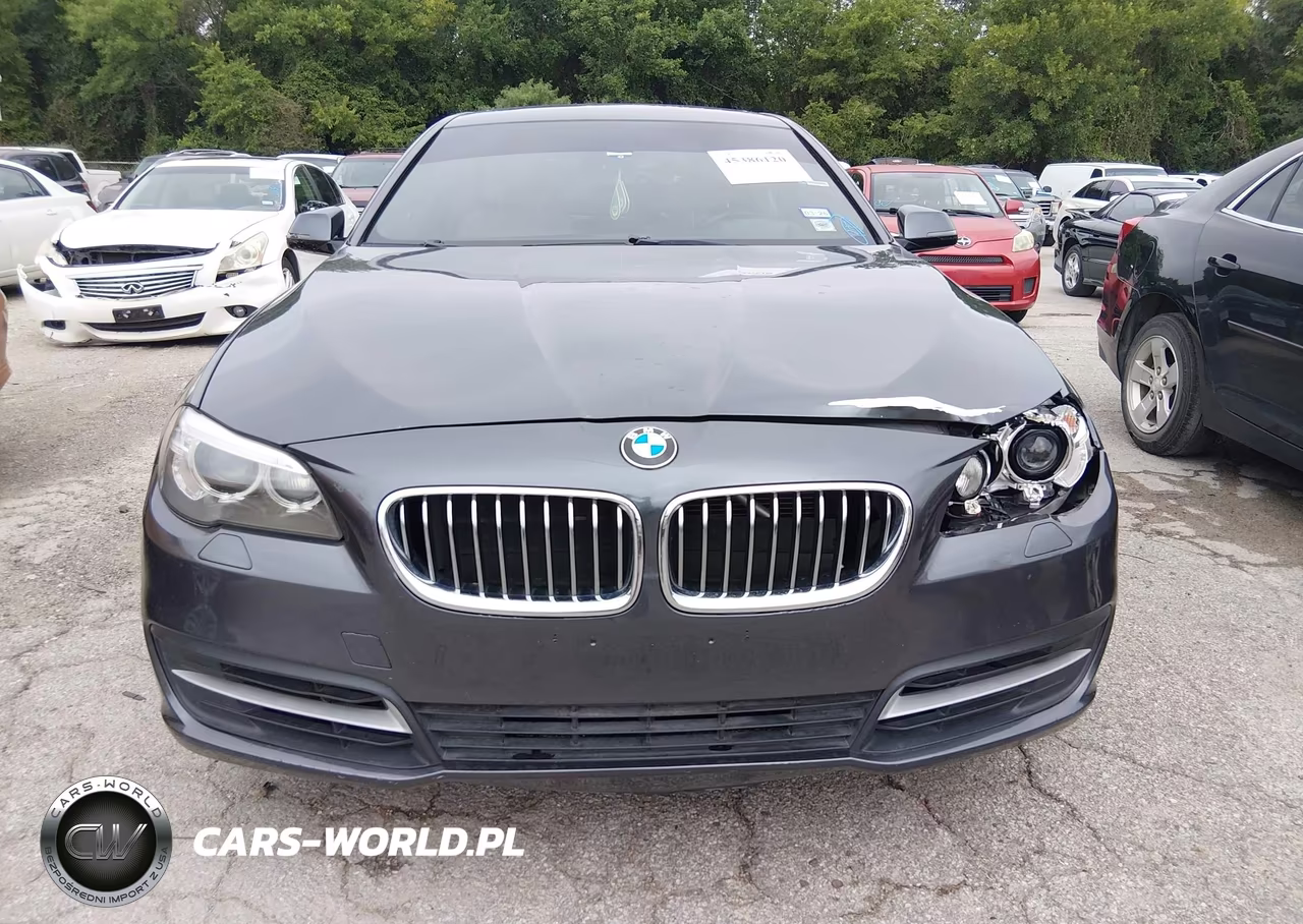 2016 BMW 528I VIN:WBA5A5C54GG351631 - 12