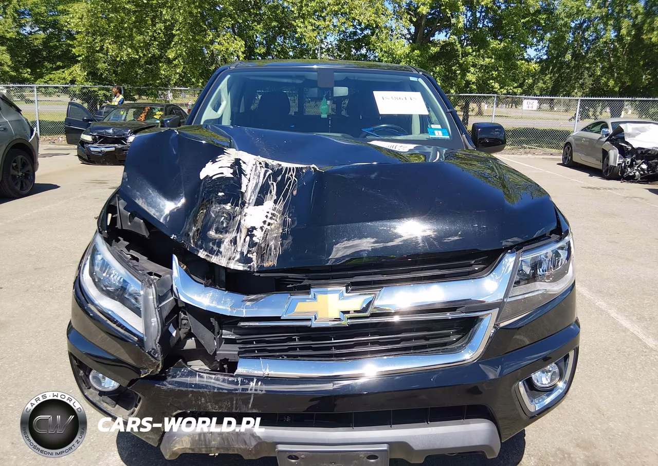 2019 Chevrolet Colorado Lt VIN:1GCGTCEN4K1356850 - 12