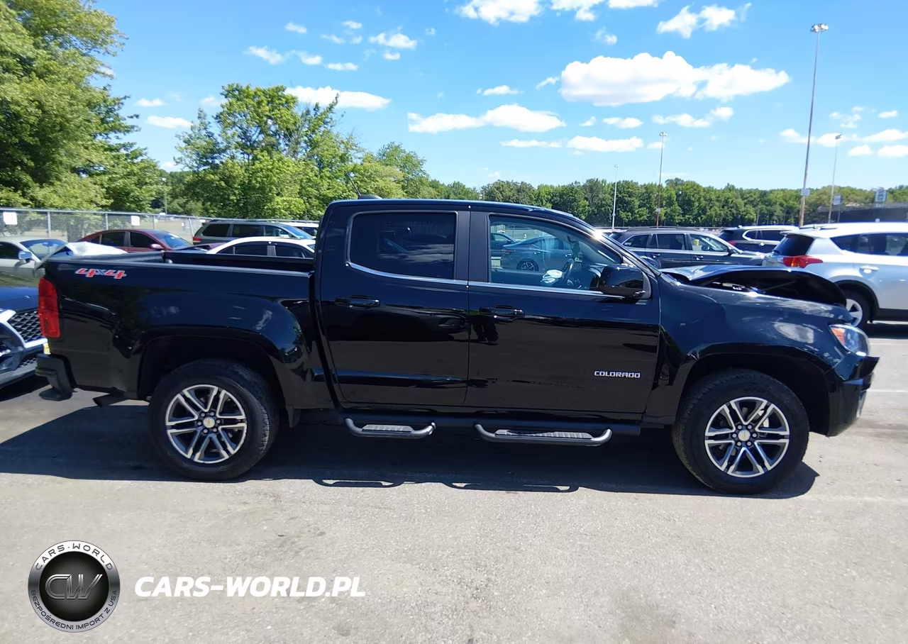 2019 Chevrolet Colorado Lt VIN:1GCGTCEN4K1356850 - 13