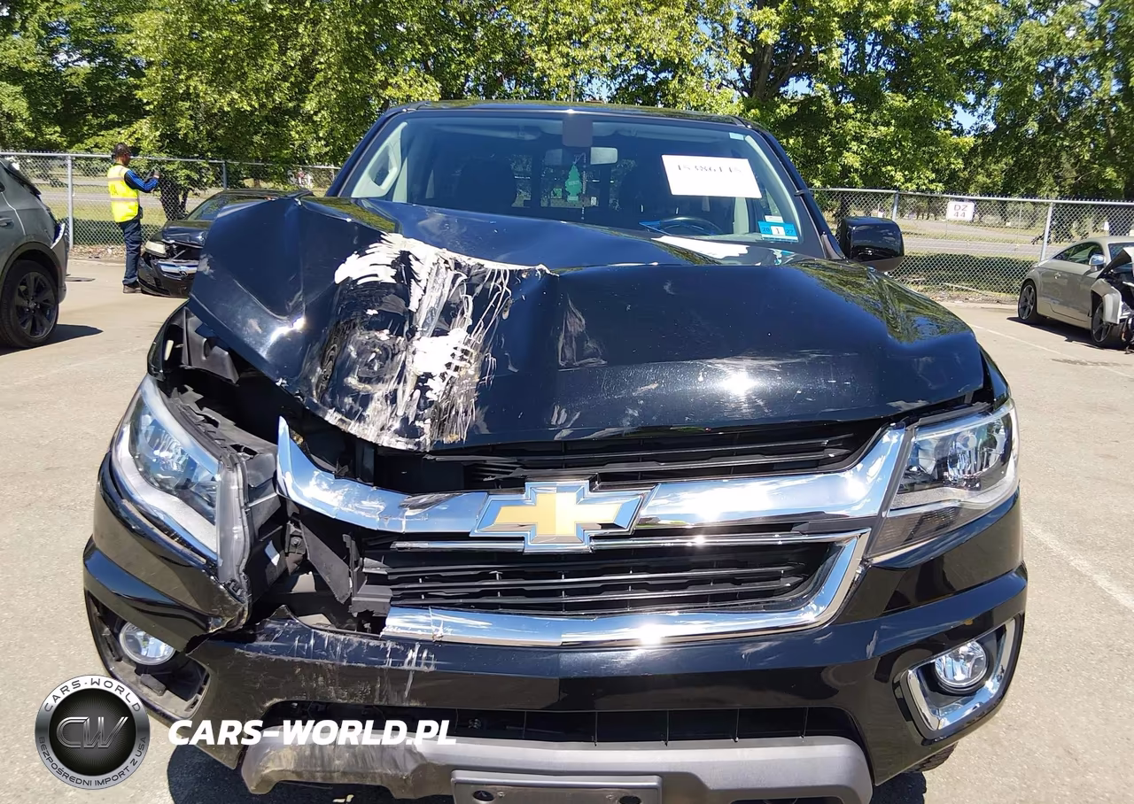 2019 Chevrolet Colorado Lt VIN:1GCGTCEN4K1356850 - 6