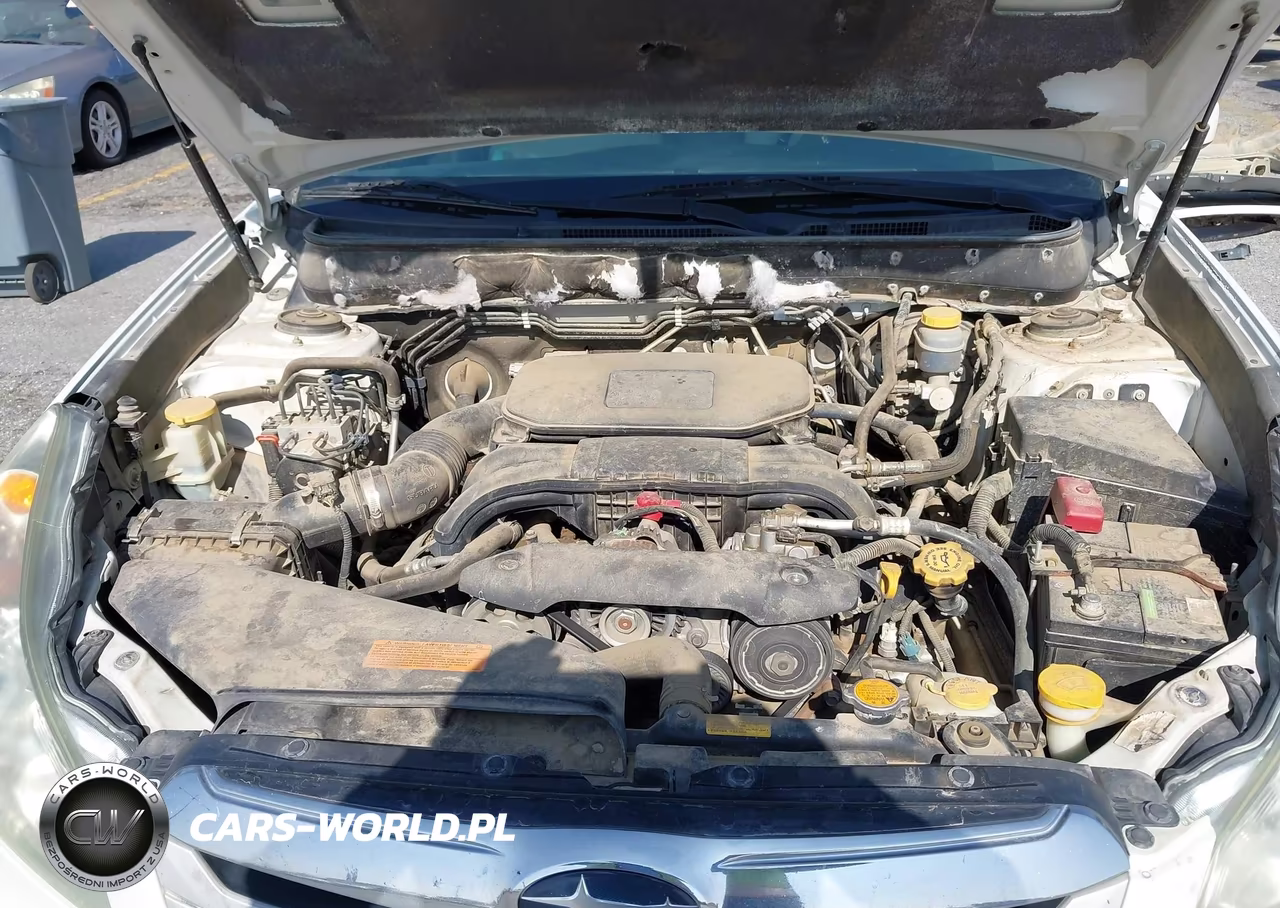 2010 Subaru Outback 2.5I Limited VIN:4S4BRBLC9A3312216 - 10