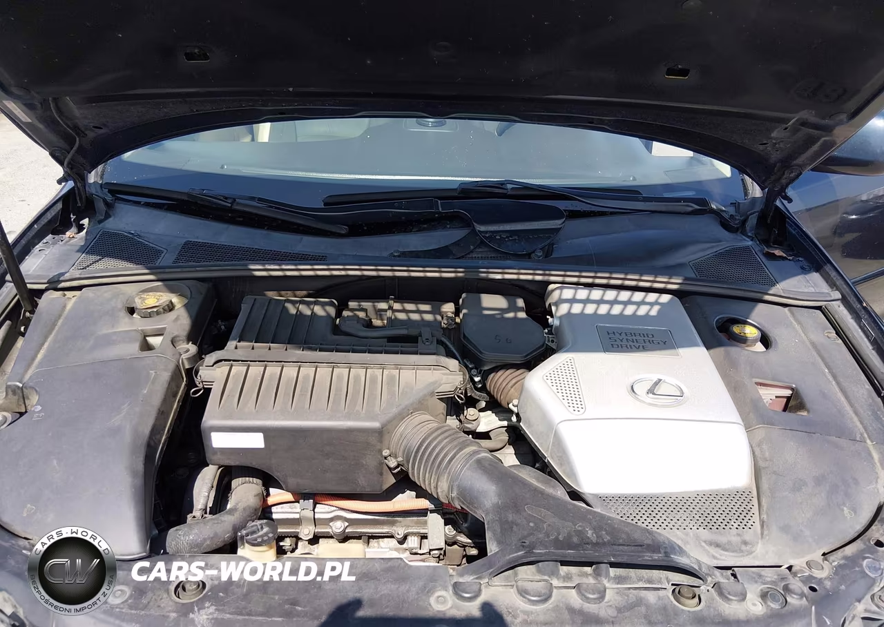 2006 Lexus Rx 400H VIN:JTJGW31U760002253 - 10