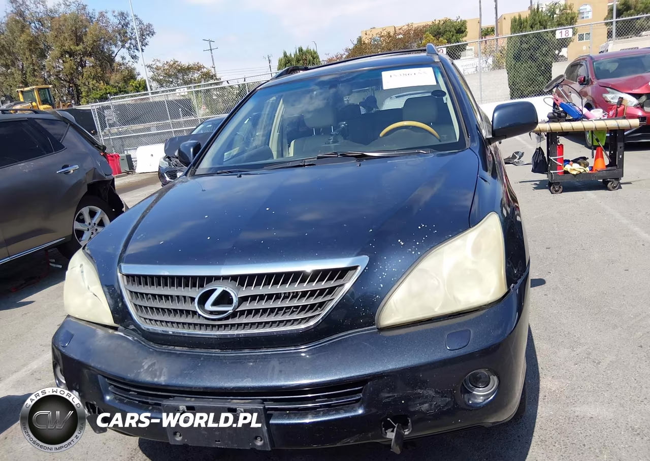 2006 Lexus Rx 400H VIN:JTJGW31U760002253 - 12