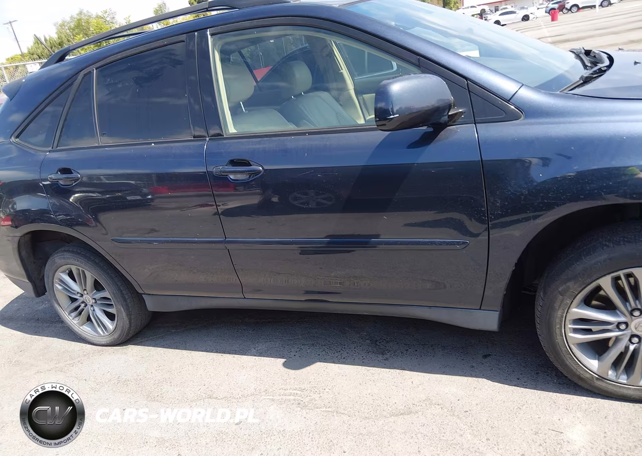 2006 Lexus Rx 400H VIN:JTJGW31U760002253 - 13