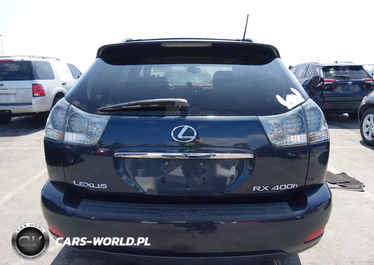 2006 Lexus Rx 400H VIN:JTJGW31U760002253 - 16